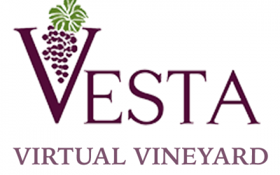 VESTA – Virtual Vineyard