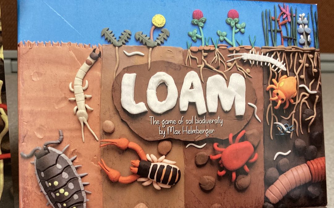 Loam: The Game of Soil Biodiversity